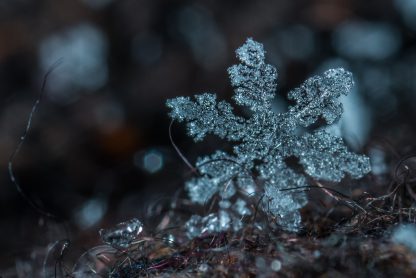 image of a snowflake